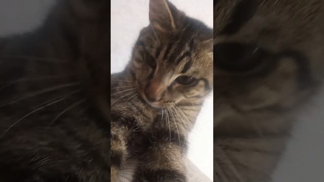 12 февраля 2023 г. смотреть онлайн