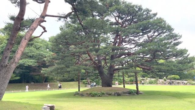청와대 관람 | 관람 순서 및 꿀팁 | 서촌 맛집 смотреть онлайн