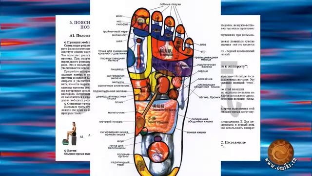 СЦЭК Тяньши Tiens Как работает СЦЭК смотреть онлайн