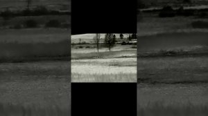 Охота на волка. Добыча матёрого волка