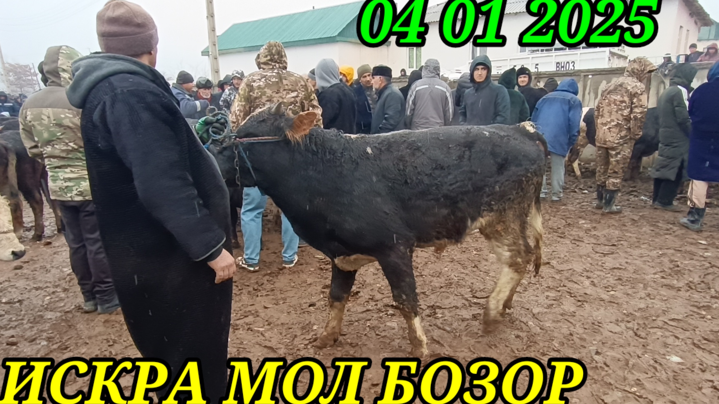 ИСКРА МОЛ БОЗОР  Н ШАХРИТУС