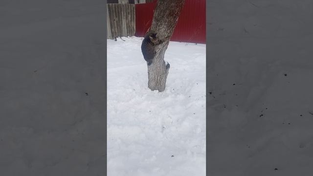 19 февраля 2023 г. смотреть онлайн