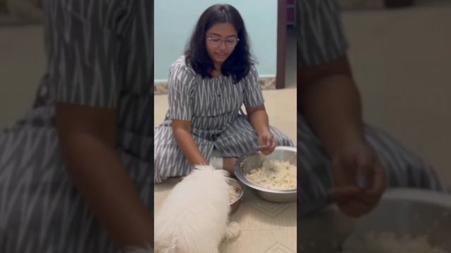 New recipe for Dogs |Homemade Dog recipe |Easy food ideas for Dogs смотреть онлайн