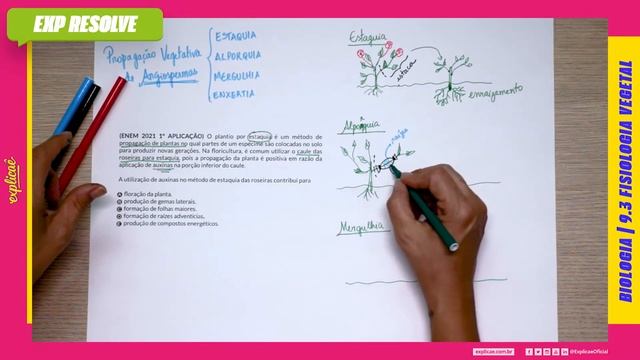 O PLANTIO POR ESTAQUIA É UM MÉTODO DE PROPAGAÇÃO DE PLANTAS NO QUAL PARTES(...) | FISIOLOGIA VEGETA смотреть онлайн