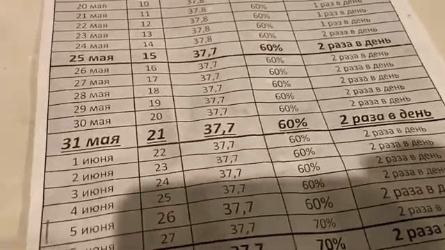 Вывод гусят / ВЫВОД 100% смотреть онлайн