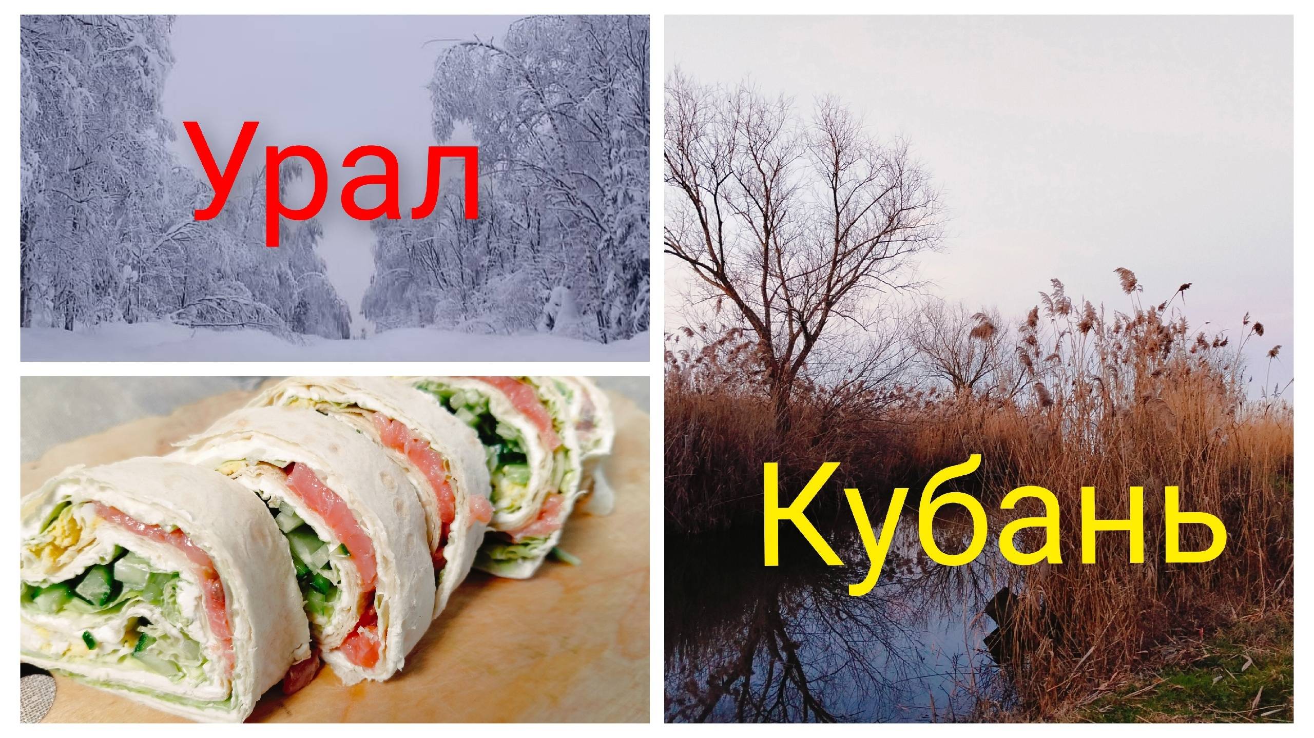 Золотая неделя.Икра окуня.Рулет с сёмгой.Собачья дивизия. смотреть онлайн