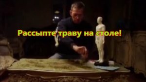 БИОРАМКА жезл Фараона