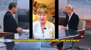 АЛИС ВАЙДЕЛЬ РАЗНЕСЛА ЗЕЛЕНСКОГО В ПУХ И ПРАХ.УКР. БОЛЕЛЬЩИКИ ПРИЕХАЛИ НА ЧЕМПИОНАТ ЕВРОПЫ В ВОЙНУ