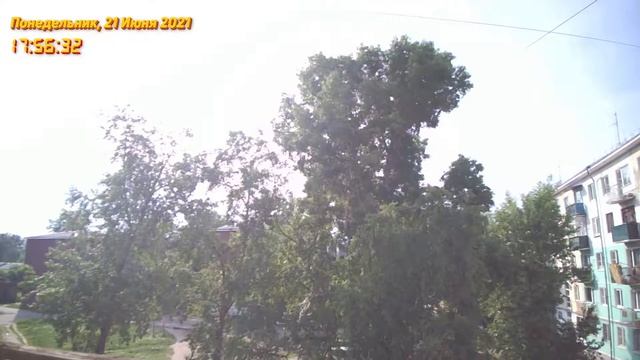 21 июня 2021 года, 04, деревья и птицы во дворе дома смотреть онлайн