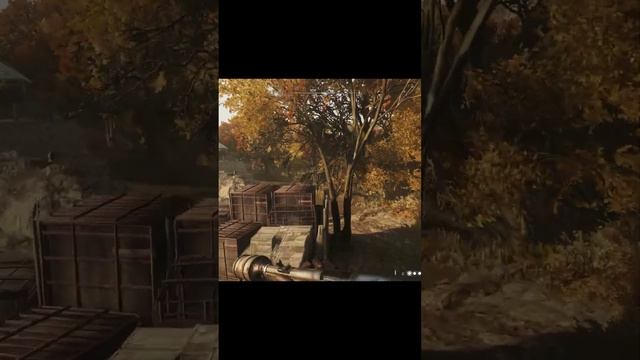 немножко ассасин #huntshowdown