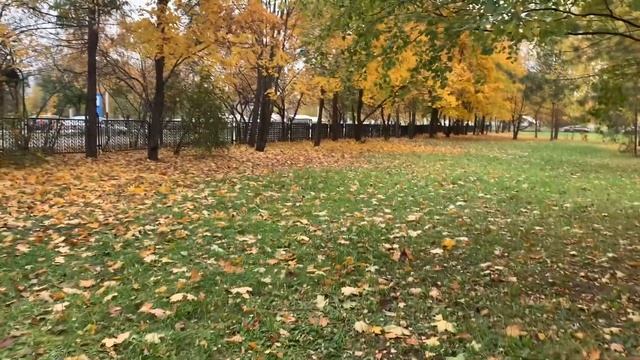 Vlog: Борщ в мультиварке/ осенний лес/гуляем по Ашану смотреть онлайн