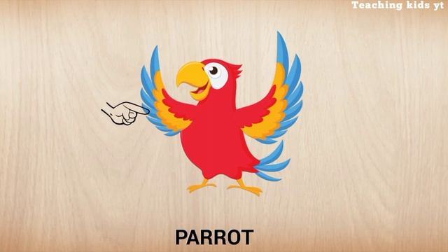 Cute Animal puzzle | Deer | koala | snake | parrot | snail | stork | part 7 смотреть онлайн
