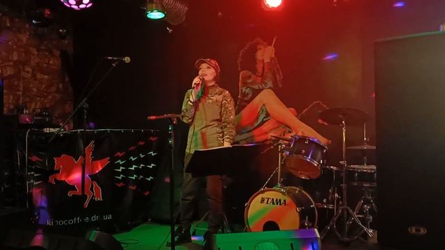 "МЫ ВОЛОНТЕРЫ". Екатерина Минсафина. Выступление в г Донецк смотреть онлайн