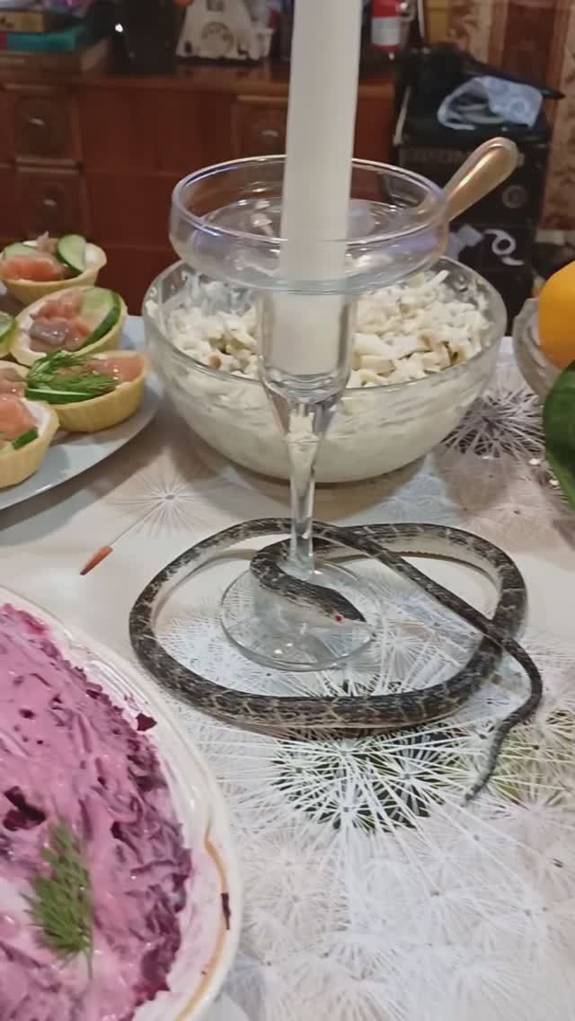 С Новым годом! ❄️✨️ смотреть онлайн