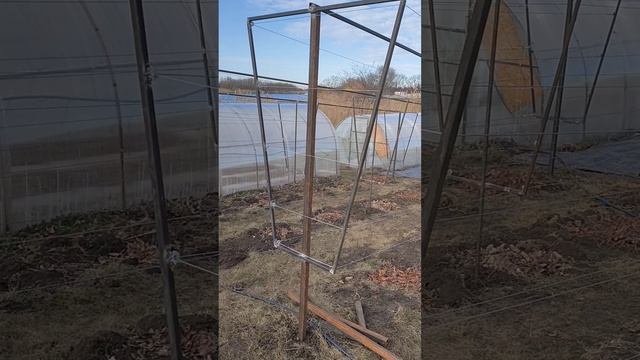 Умный Сад Кубани