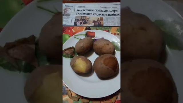 Кухня-приключение