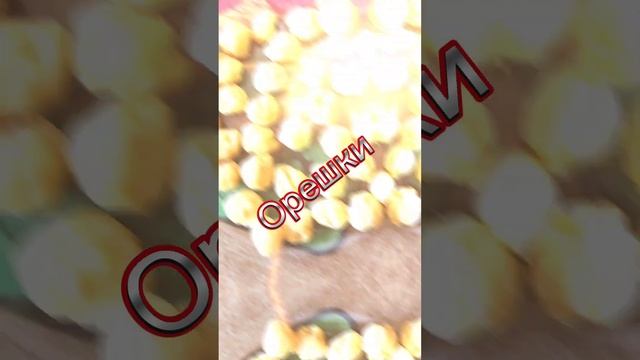 Орешки смотреть онлайн