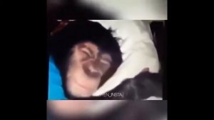 Ержан вставай, на работу пора)))