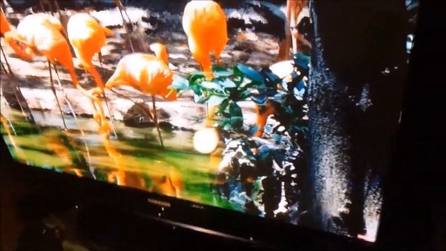50 Zoll Fernseher für 50 Euro !!! Samsung 127 cm TV смотреть онлайн