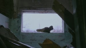 Маленький S.T.A.L.K.E.R