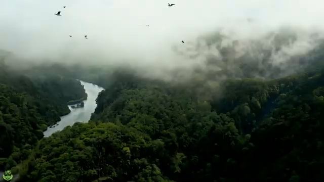 Красивая расслабляющая музыка. Музыка для снятия стресса, музыка для медитации смотреть онлайн