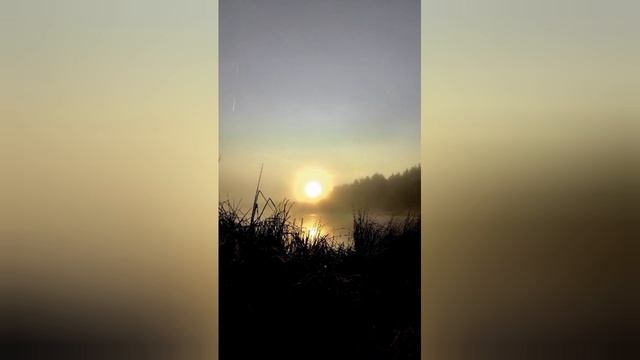 #озеро #утро #рыбалка #fishing #рассвет #природа #карась смотреть онлайн