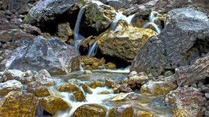 Нашёл аномалию в ручье, там скопление самородного Золота!