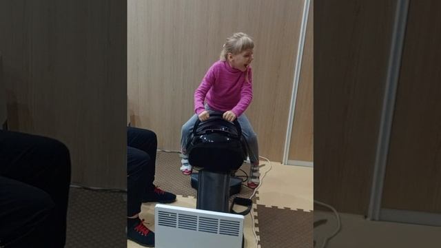 Иппотренажер для тренировки вестибулярного аппарата и мышц спины.