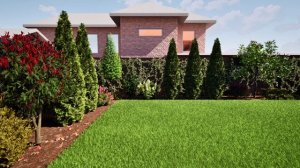 Оформление заднего двора