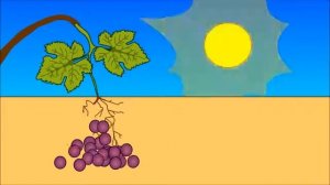 Учимся читать по слогам складам. Склад ЗЮ. Развивающие мультики для самых маленьких