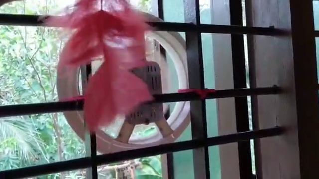 cool room naturally and get fresh air by using exhaust fan смотреть онлайн