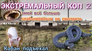 ЭКСТРЕМАЛЬНЫЙ  МЕТАЛЛАКОП 2, АДСКАЯ ферма всё даёт результат,змей всё больше металу тоже