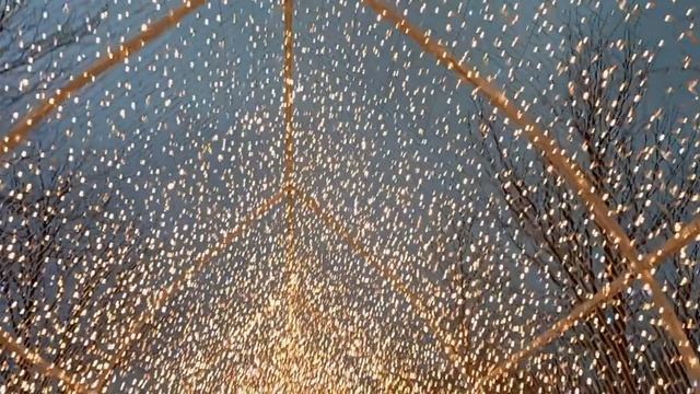 Краснодар. Парк Галицкого. 04.01.25. смотреть онлайн