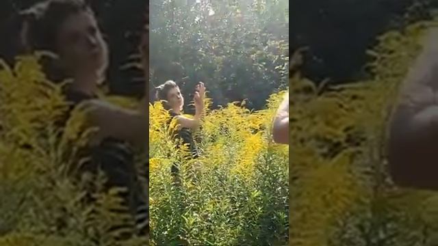 Сказочная фотосессия девушка-олень!!! смотреть онлайн