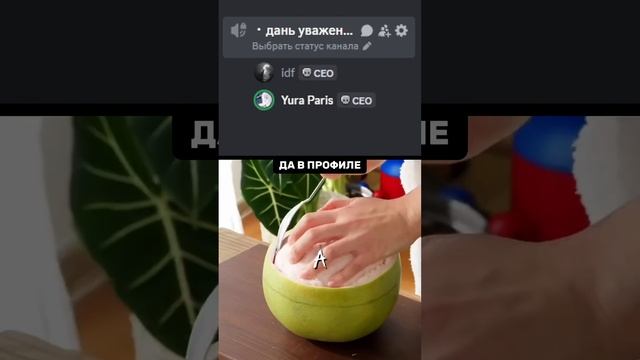 #рек #рекомедации #дискордсервер #дискорд #геншинимпакт #ксго #валорант #дота #shorts #dota #csgo смотреть онлайн