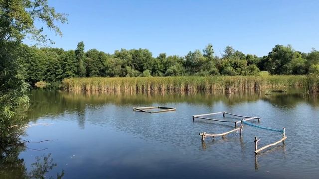 Село Залесское Черкасской области. Уха. Шашлык. смотреть онлайн