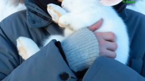 кавер #taehyung на песню Чонгука от n.ikamusic