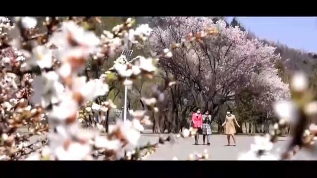 РАСЦВЕТАЕТ ПХЕНЬЯН 봄을 사랑합니다 смотреть онлайн