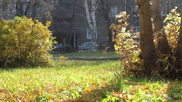 Анемия.Anemia смотреть онлайн