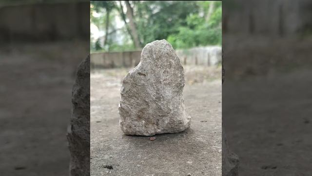 Тест на шизика😛#шизофрения #подпишись #capcut #чтото #shortsvideo #хочуврек #shorts смотреть онлайн