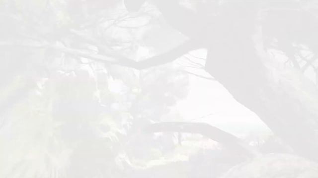 A Plague Tale: Requiem_20240211162157 смотреть онлайн
