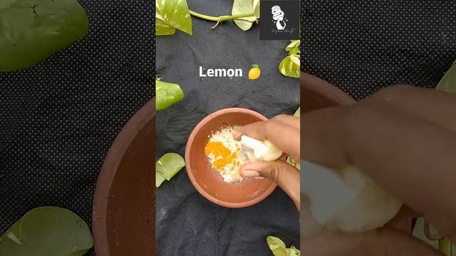 Daily face pack for glowing skin #shorts смотреть онлайн