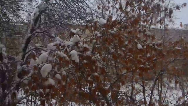 Снегири за окном. Гульмира Сынбулатова № смотреть онлайн