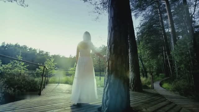 Vangelis & Montserrat Caballe - Like A Dream смотреть онлайн