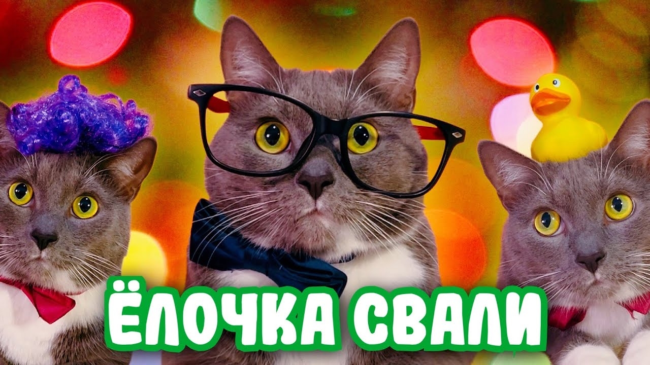 КОТИКИ ГОТОВЯТСЯ К НОВОМУ ГОДУ! смотреть онлайн