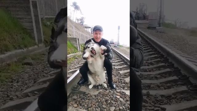 Вот он, настоящий пельмень 🤪💕 смотреть онлайн