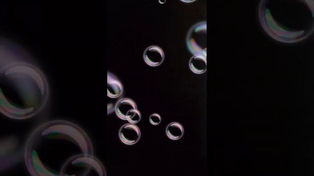 Давоми Эфири Саволу Чавоб смотреть онлайн