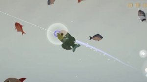 вот как поймать шестежабреную  акулу in fishing and life