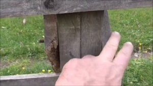 Летний загон для кур