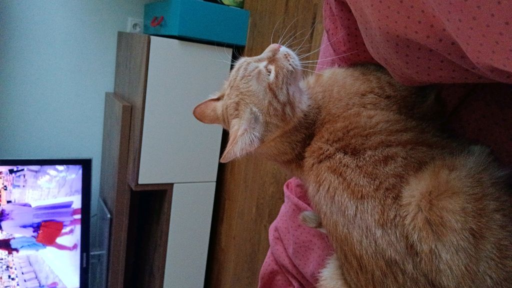 с рождеством (простите что долго не было трансляции Я в Нижневартовске)